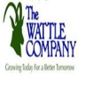 The Wattle Company Limited