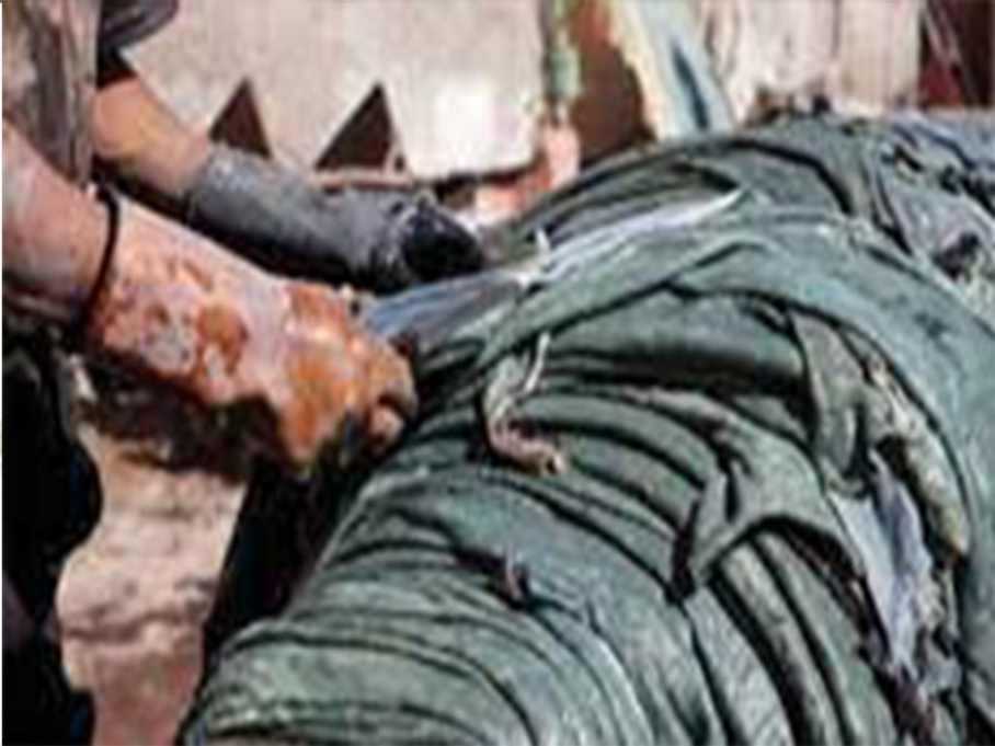 KABWE TRADES TRAINING INSTITUTE