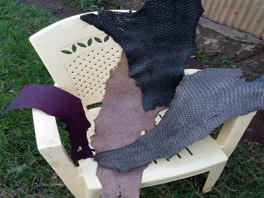 Alisam products development