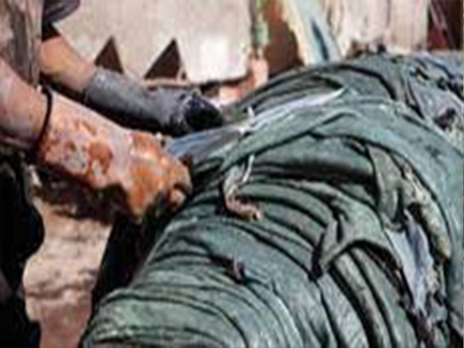 HEADMAN C FARM TANNERY