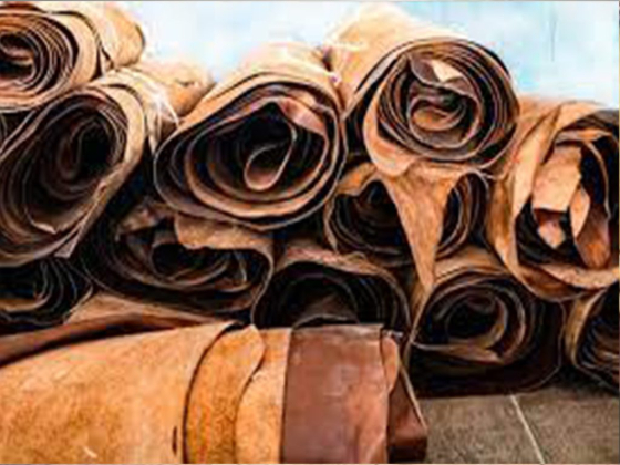 KABWE LEATHER COOPERATIVES