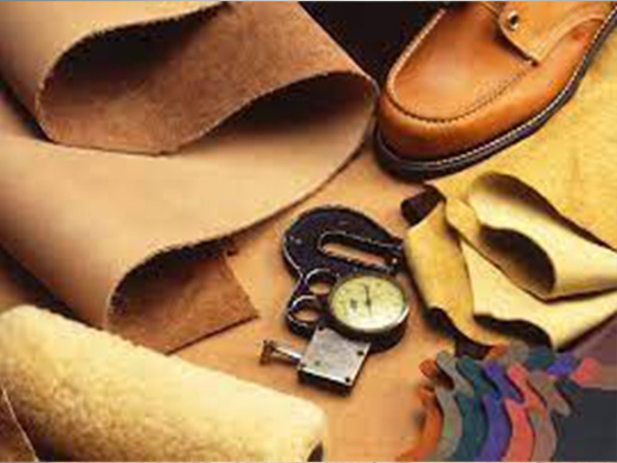 KABWE LEATHER COOPERATIVES