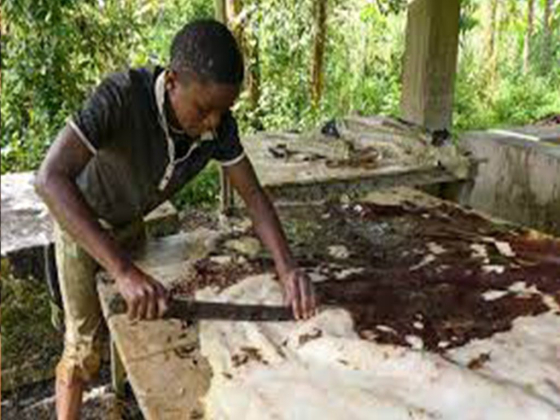 MAZABUKA LEATHER CLUSTERS