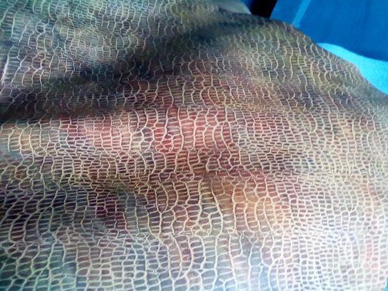 Ewaso Nyiro South Development Authority