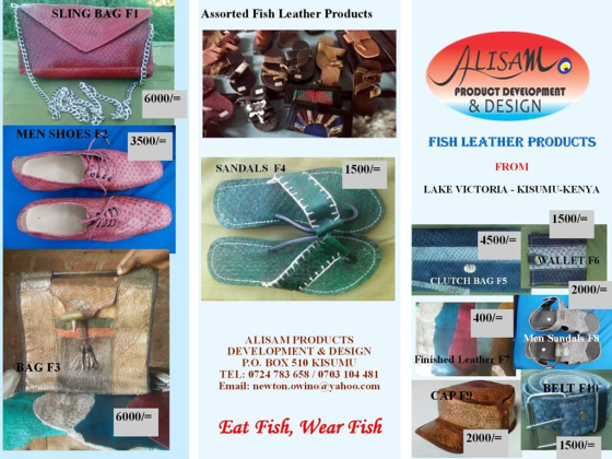 Alisam products development