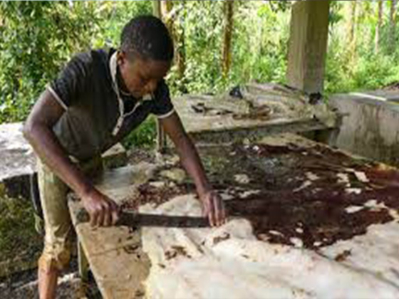 HEADMAN C FARM TANNERY