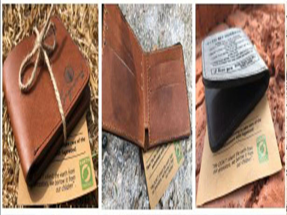 Saddle Forest - Sagewood Pvt Ltd