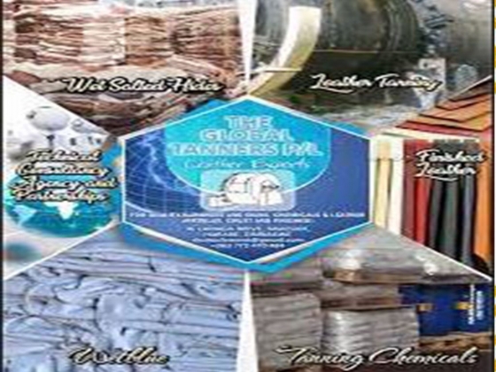Global Tanner Pvt Ltd
