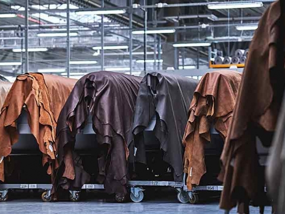 All Africa Leather Fair 2022