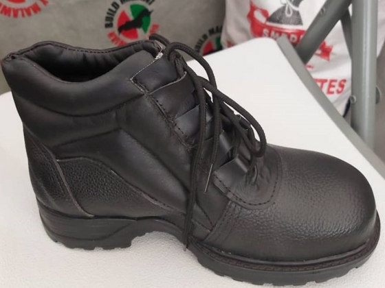 Small scale livestock and livelihood program