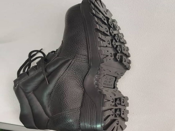 Small scale livestock and livelihood program