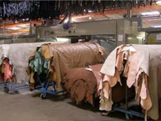 KITWE LEATHER CLUSTERS