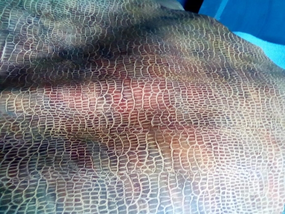 Ewaso Nyiro South Development Authority