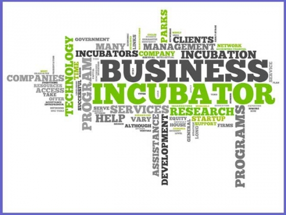 Clusters & Satellite Design Studios